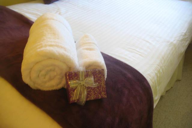 The Holly Tree Bed & Breakfast CBG Екстериор снимка